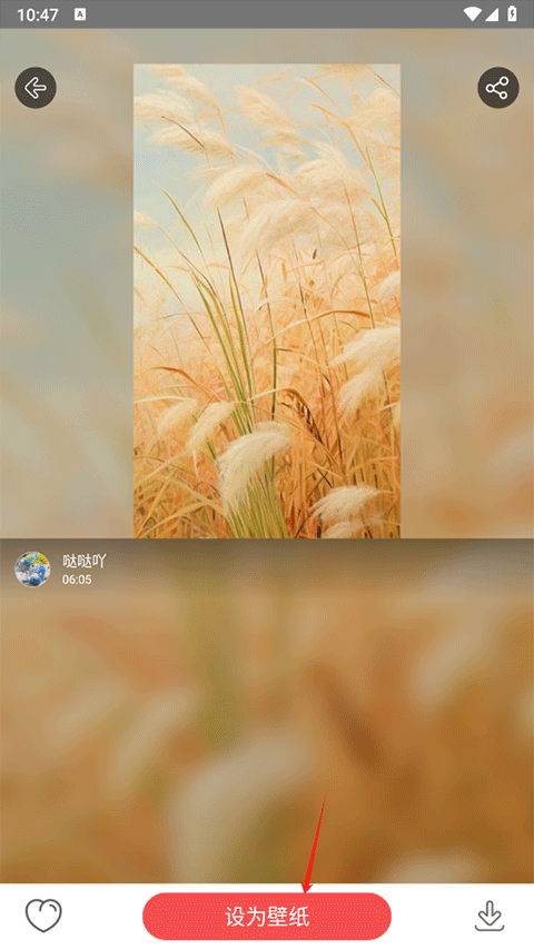 安卓动态壁纸app v4.3.1最新版