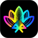 宝莲灯pro app v5.19.01安卓版