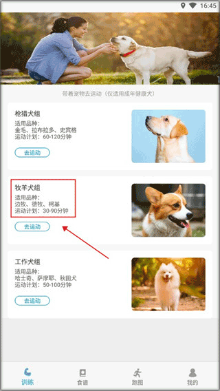 小兔乐跑官方版本 v1.3.2安卓版