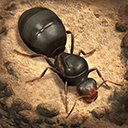 小小蚁国国际服最新版 v3.99.0安卓版