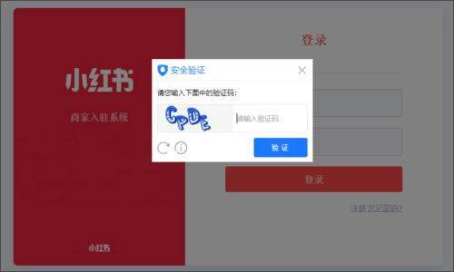 小红书app最新版 v9.31.2安卓版