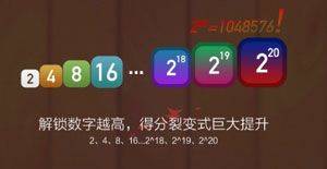 忍者2048 v1.5安卓版