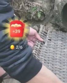 快手app红包赚钱版下载 v14.7.30.49856 安卓版 4000金币怎么弄2