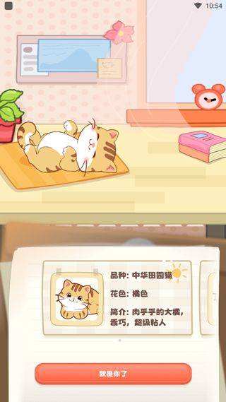 桌面喵最新版 v2.1.8安卓版