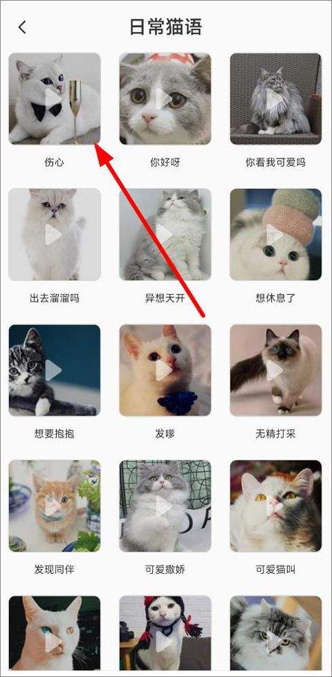 猫语翻译机 v2.9.6安卓版