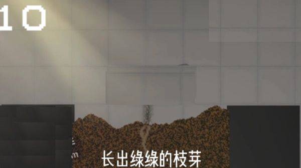 甜瓜游乐场官方正版 v35.4.1安卓版