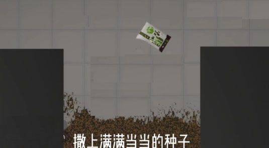 甜瓜游乐场官方正版 v35.4.1安卓版