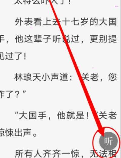 番茄小说VIP会员到期至2099版下载 v7.3.2.32 安卓版 怎么设置听书截图2