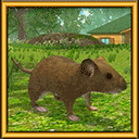 疯狂地鼠城手游 v3.5.1安卓版