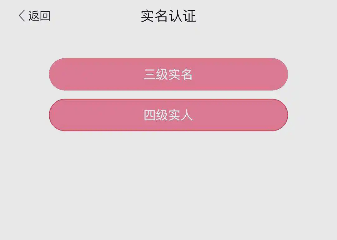 登记注册身份验证2026最新版免费下载 v2.0.3 安卓版 详细使用指南截图7