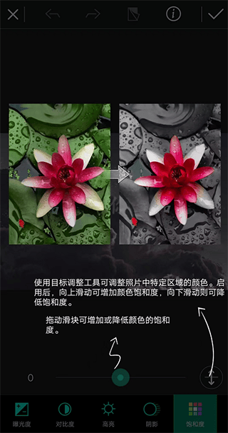 相片大师app v20.12.3安卓版