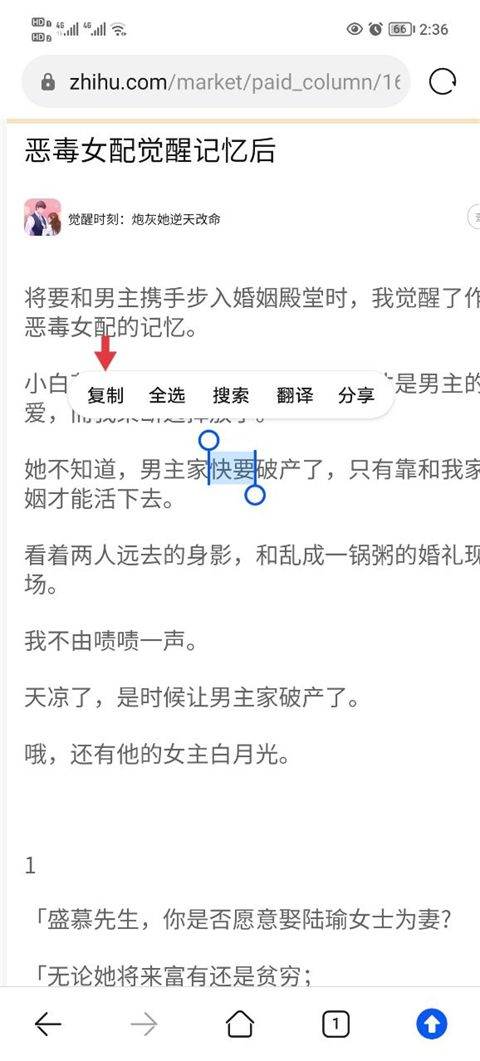 知乎小说app 10.98.0最新版