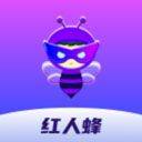 红人蜂app v2.1.2安卓版