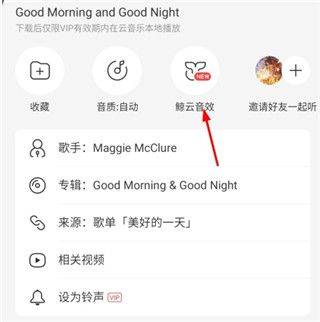 网易云音乐2026最新版本 v9.5.12安卓版