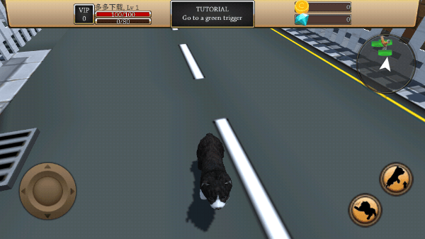 美国zoom动物手游 v1.1.03安卓版