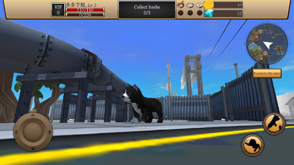 美国zoom动物手游 v1.1.03安卓版