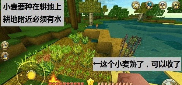 迷你世界老版本无限迷你币内购版下载 v1.58.2 安卓版 新手开局怎么玩截图7