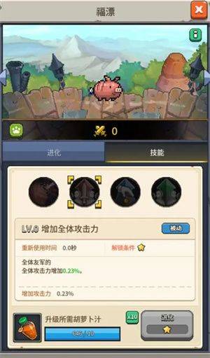宠物福漂介绍2