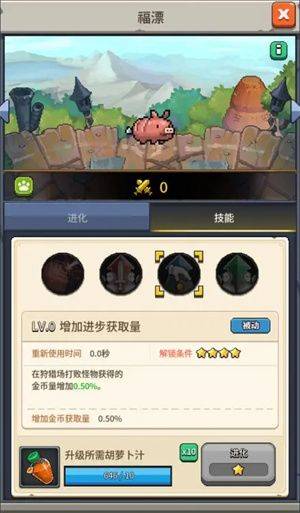 宠物福漂介绍3