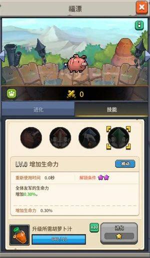 宠物福漂介绍4