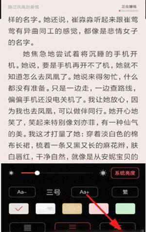 饭团追书app下载安装免广告免费 v3.2.6 安卓版 翻页截图教程3
