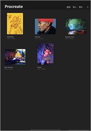 Procreate正版下载免费版中文版 v3.0 安卓版 锁定图层截图1