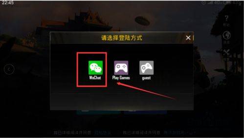 PUBGMobile亚服下载官方正版 v4.5.0 安卓版 怎么登录截图4