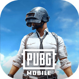 PUBGMobile亚服下载官方正版 v4.5.0 安卓版