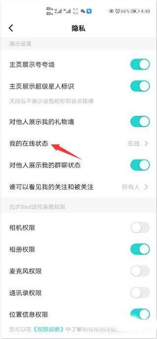 Soul最新免费版 v6.30.0 安卓版 设置隐身截图2