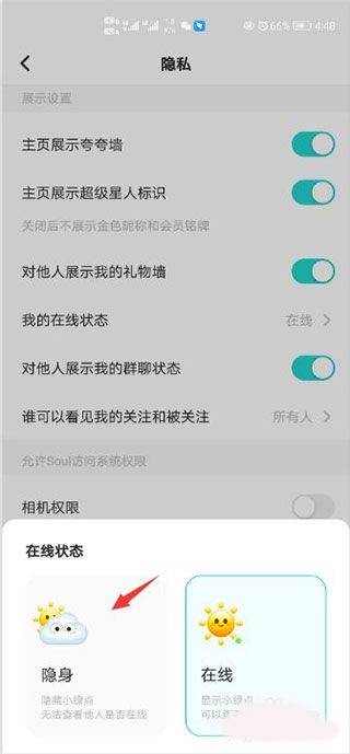 Soul最新免费版 v6.30.0 安卓版 设置隐身截图3