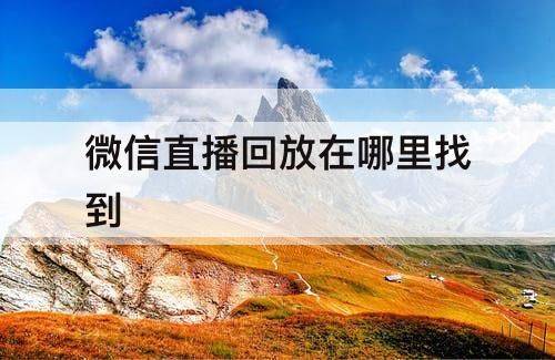 看回播