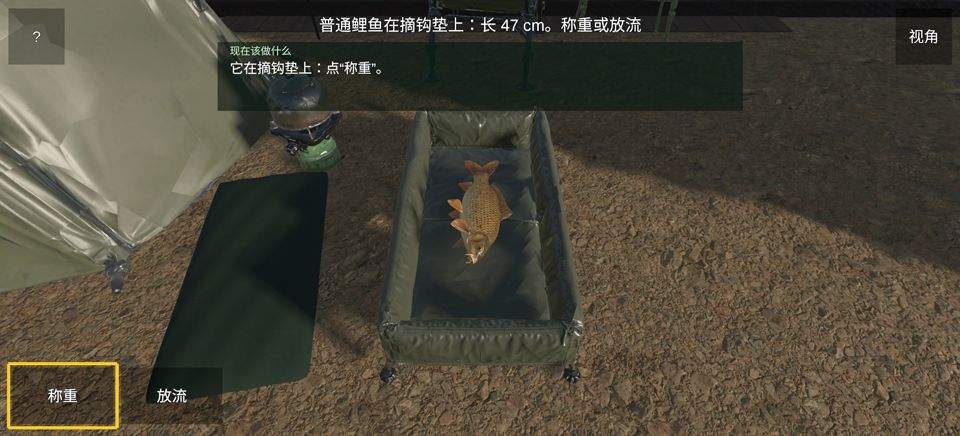 鲤鱼垂钓高级版 v1.0.2安卓版