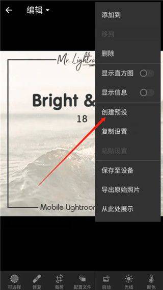 LR修图软件手机最新版下载 v8.4.2 安卓版 LR手机版怎么预设保存DNG格式文件9