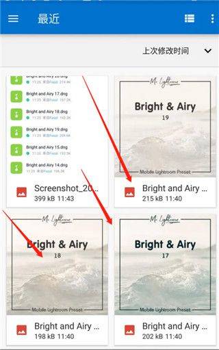 LR修图软件手机最新版下载 v8.4.2 安卓版 LR手机版怎么预设保存DNG格式文件6