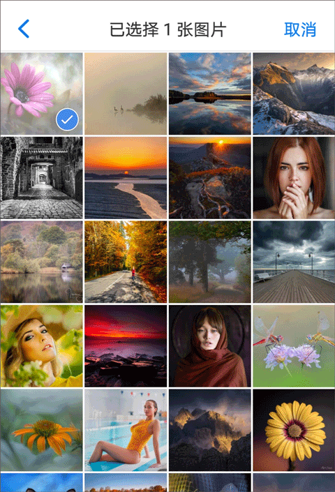 alook浏览器安卓版 v11.0最新版
