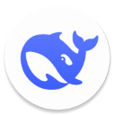 deepseek增强版app v2.5.2安卓版